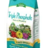 Espoma Triple Phosphate -Pesches Garden Center 2019 TriplePhos no Zip 8lb 450x785 1