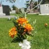 Cemetery Metal Heart Stake -Pesches Garden Center 20231002 193228