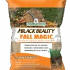Black Beauty Fall Magic Grass Seed 1 Black Beauty Fall Magic Grass Seed -Pesches Garden Center BB Fall Magic