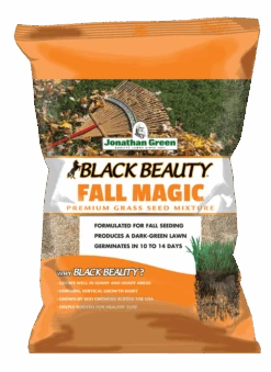 Black Beauty Fall Magic Grass Seed