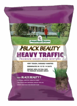 Black Beauty Heavy Traffic Grass Seed