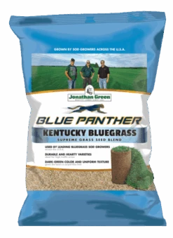 Blue Panther Kentucky Bluegrass Grass Seed