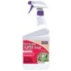 Bonide Insecticidal SUPER Soap 2 Bonide Insecticidal SUPER Soap -Pesches Garden Center Bonide Super Soap 6556