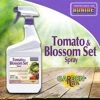Bonide Tomato And Blossom Set Spray RTU -Pesches Garden Center Bonide Tomato Blossom set