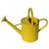 Metal Watering Can: 3.5 Liters -Pesches Garden Center GSAW3003P6LZ6