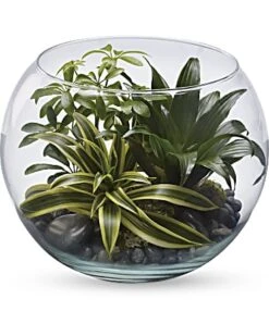 Sphere Of Tranquility Terrarium By Teleflora