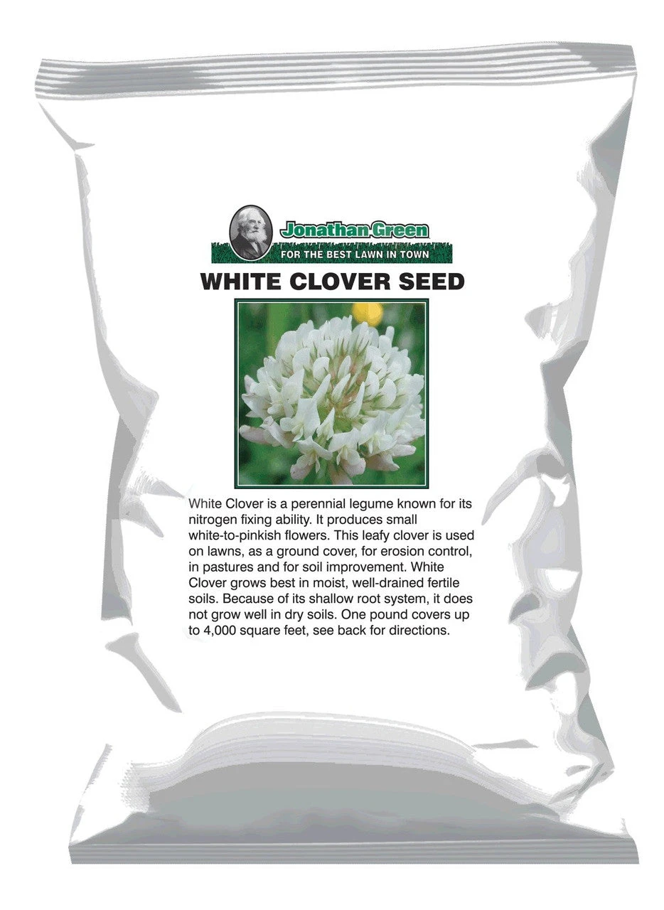 White Clover Seed 3 White Clover Seed