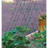 Cucumber Folding Support 2 Cucumber Folding Support -Pesches Garden Center cucumber squash harvester 816 900