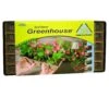 Jiffy Seed Starting Peat Greenhouse Kit 50 -Pesches Garden Center jiffy seed starters ts50h