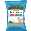 Black Beauty SolarGreen Texas Bluegrass Grass Seed -Pesches Garden Center solargreen